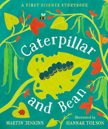 caterpillar and bean