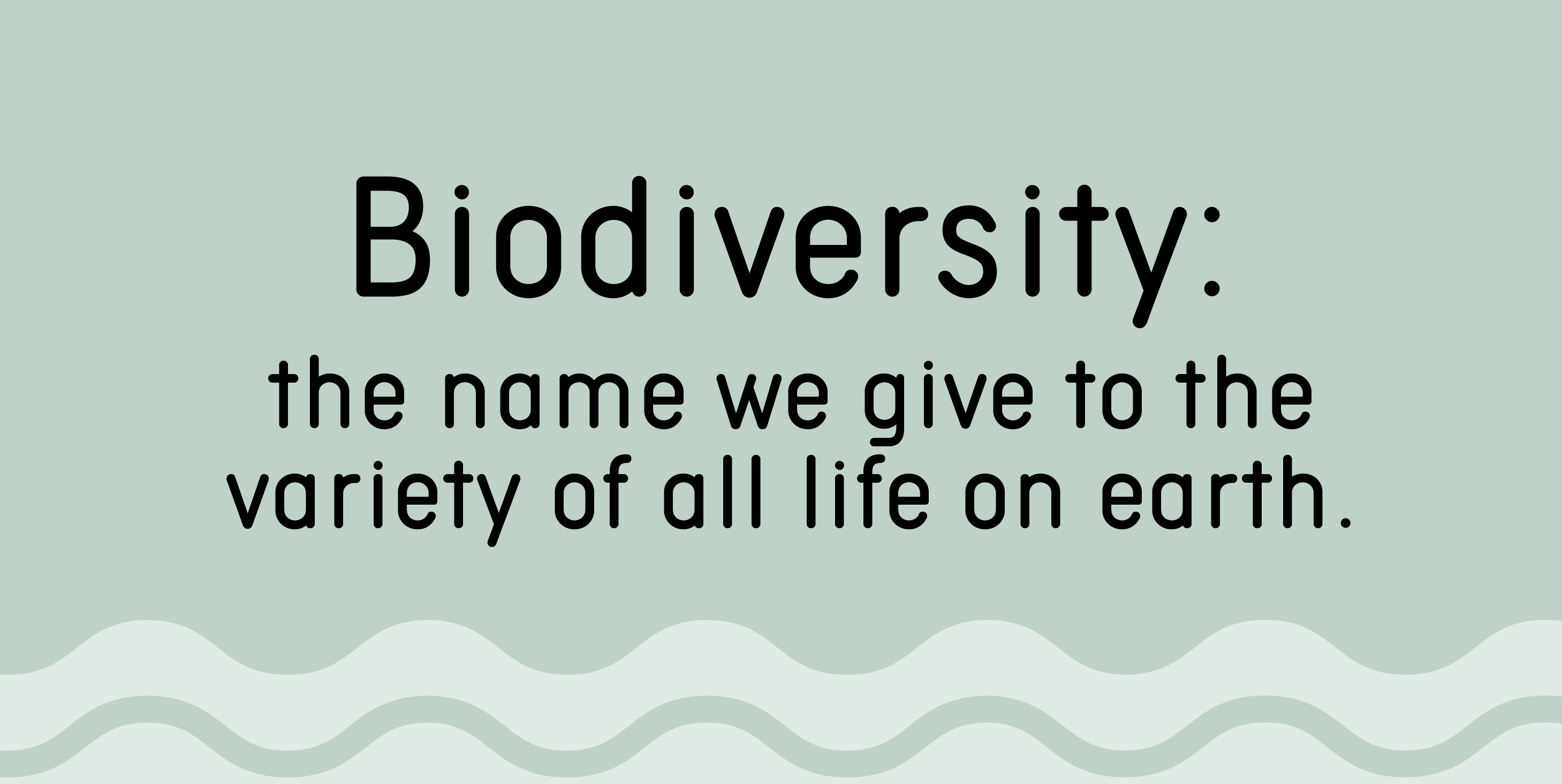 Biodiversity: the name we give to the variety of all life on earth.